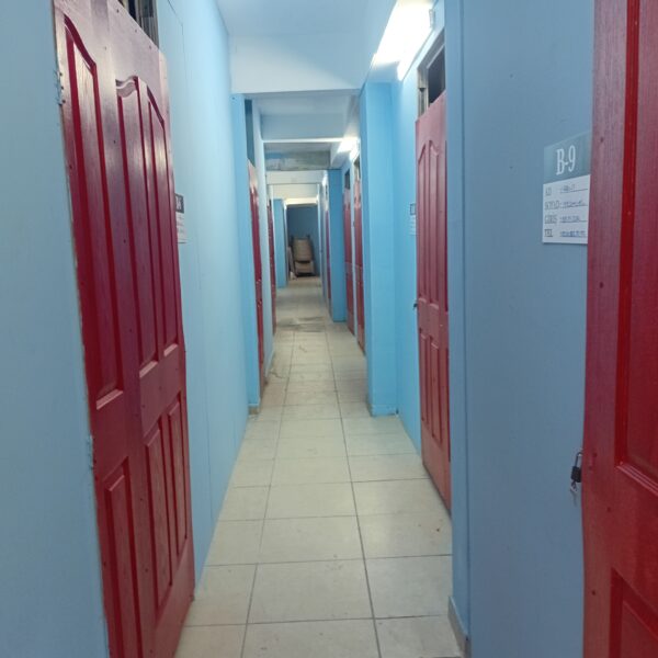 20251009 1323051 600x600